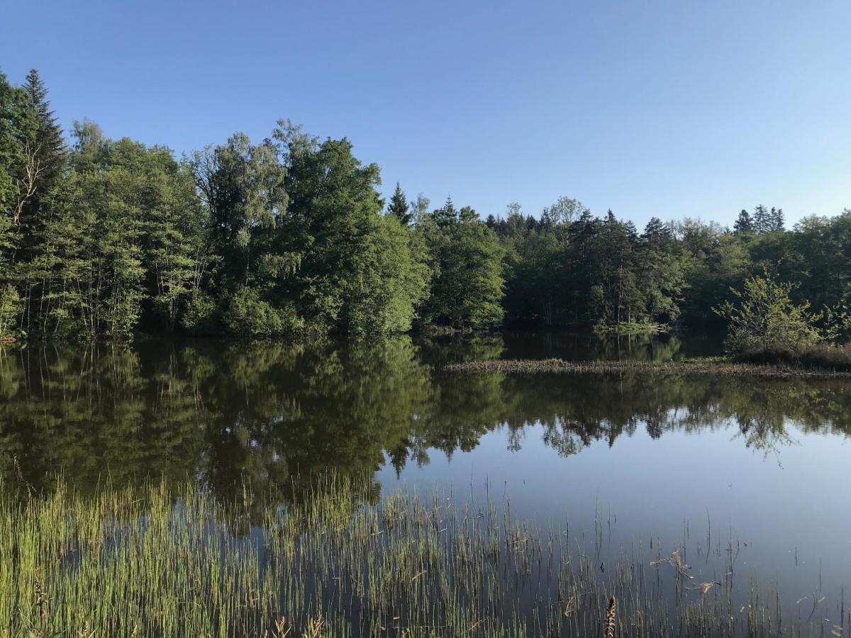 Gite Des Prary Des Mille Etangs Ternuay-Melay-et-Saint-Hilaire المظهر الخارجي الصورة