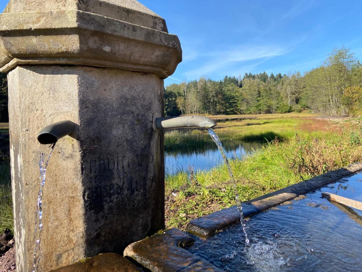 Gite Des Prary Des Mille Etangs Ternuay-Melay-et-Saint-Hilaire المظهر الخارجي الصورة